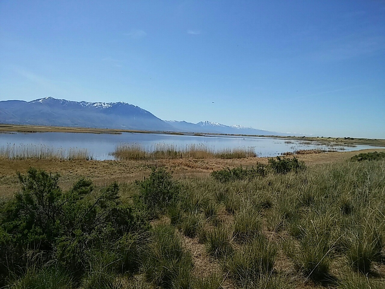 Mountainous landscape featuring a tranquil lake surrounded by tall grasses and reeds, under a clear blue sky. Ideal for nature exploration.