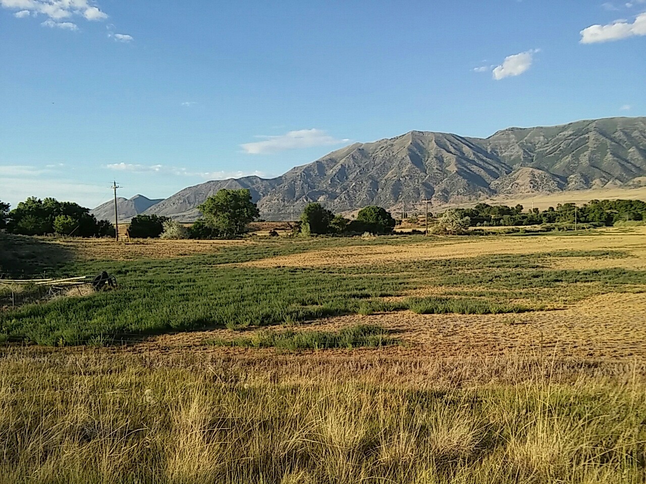 Vast farmland stretches before rugged mountains under a clear blue sky, depicting a serene rural landscape.